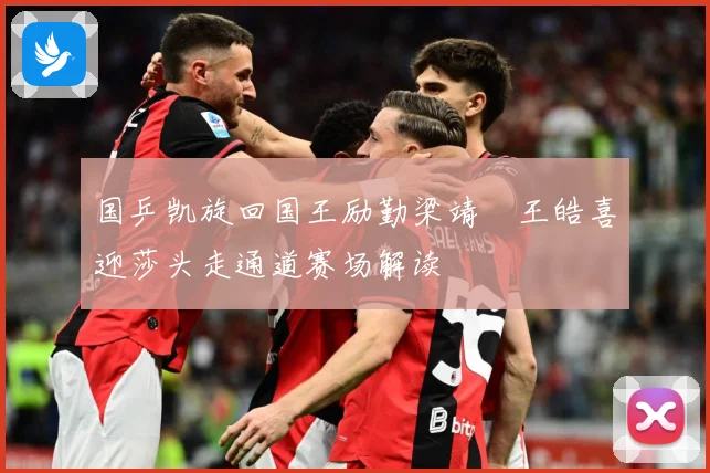 国乒凯旋回国王励勤梁靖崑王皓喜迎莎头走通道赛场解读