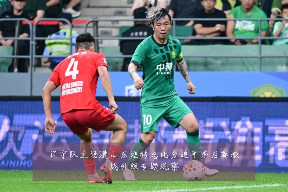辽宁队主场遭山东逆转总比分追平季后赛激战升级专题观察