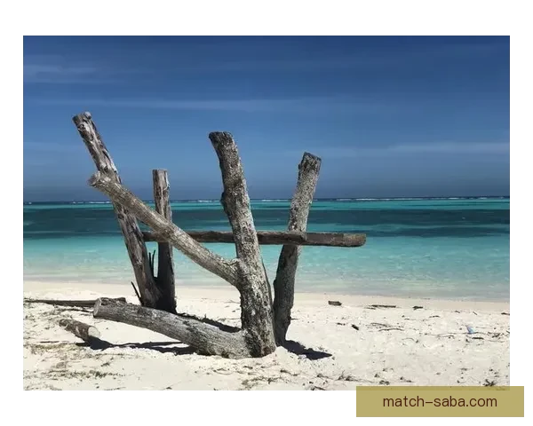 探索沙巴入口周边自然与文化奇观的深度旅行全攻略 探索沙巴入口周边自然与文化奇观的深度旅行全攻略