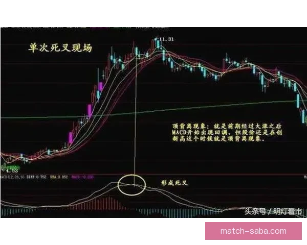 世界杯跟单策略全解析 玩转投注技巧提升收益 轻松把握赛事机会
